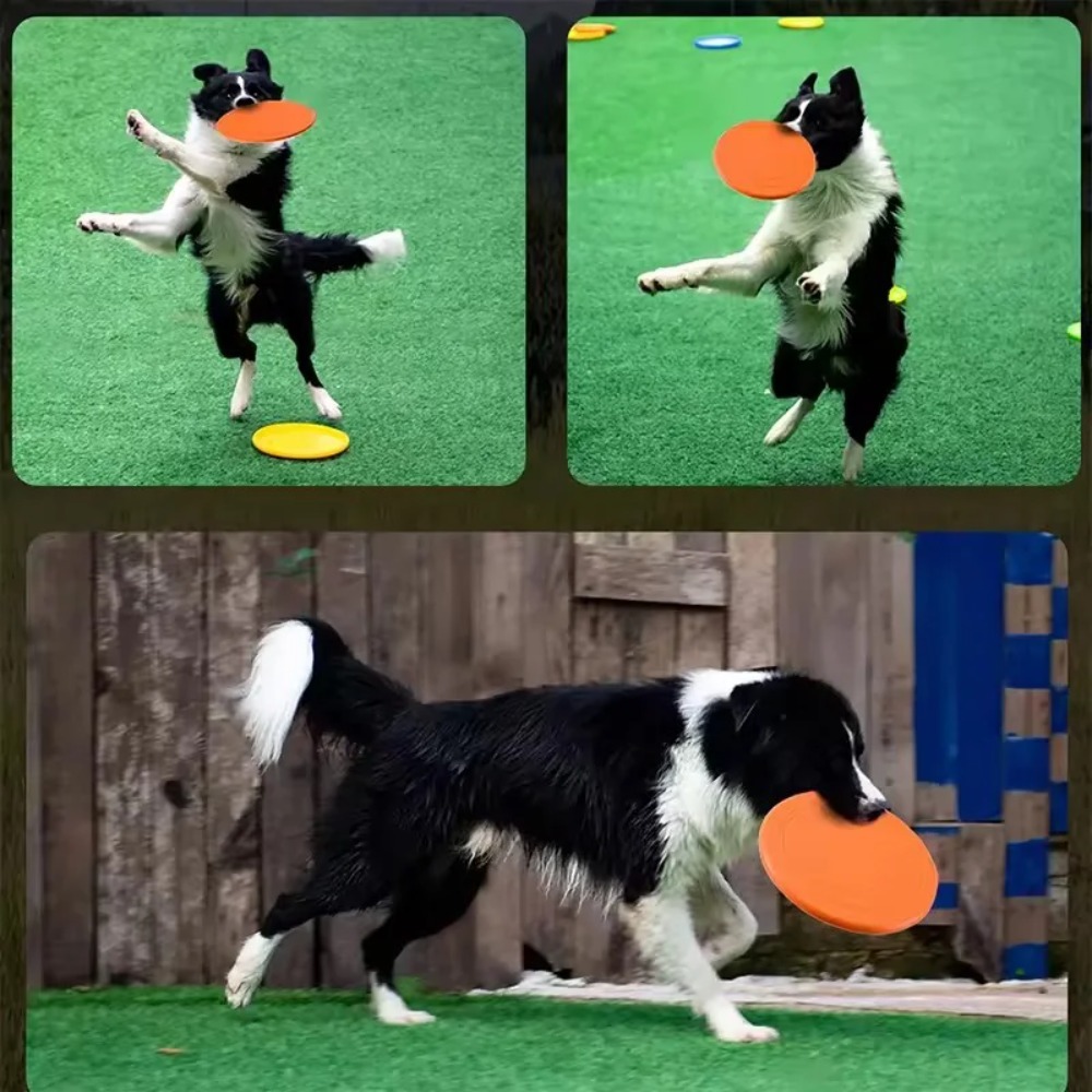 Flying Disc Dog Training Toy - Disco Voador para Cães em TPR,