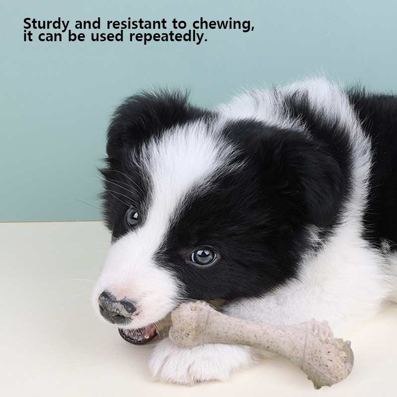 Teeth Cleaning Dog Chew Bone - Brinquedos para animais de estimação de