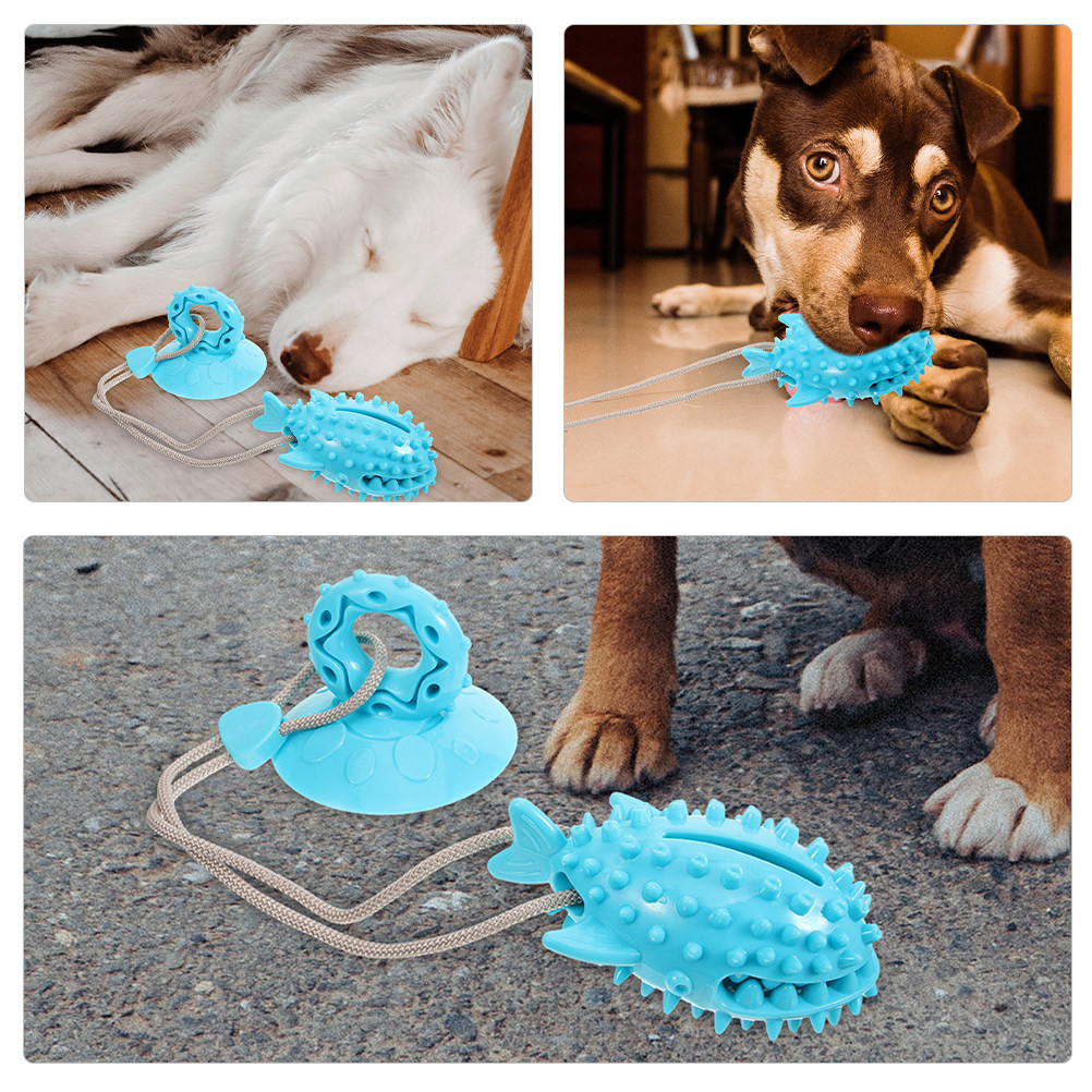 Suction Cup Dog Tug Toy - 2 unidades de brinquedo interativo para