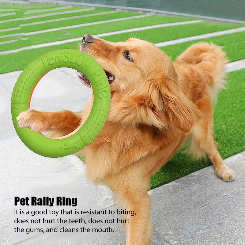 Desporto ao ar livre Flying Di - Flying Disc Dog Training Toy avaliação e preço