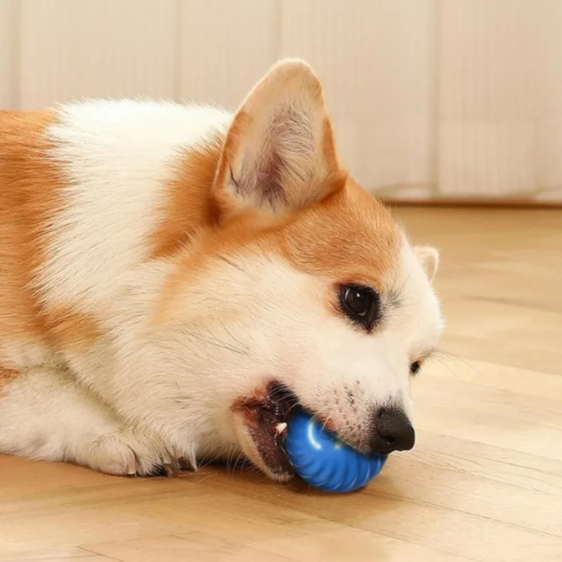 @1G-Bola de Brinquedo para Cãe - Automatic Moving Dog Ball avaliação e preço
