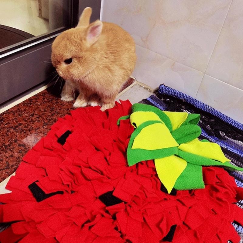 Tapete snuffle tamanho para fi - Snuffle Mat For Dogs avaliação e preço