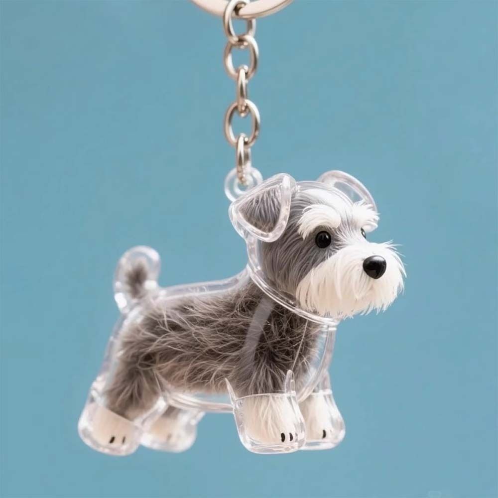 Caixa de Armazenamento de Pelo - Pet Grooming avaliação e preço